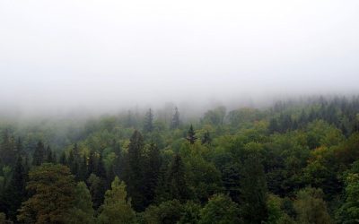 Navidad en las montañas