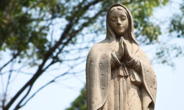 Santa María de Guadalupe a la luz de la historia