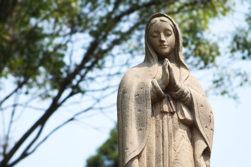 Santa María de Guadalupe a la luz de la historia