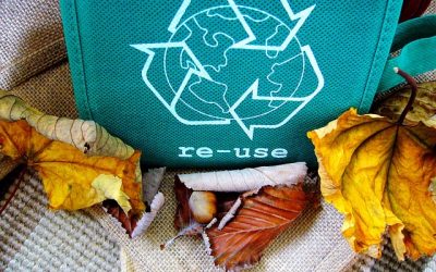 8 maneras de celebrar este mes con conciencia ecológica