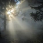 sunbeams-1547273_1280