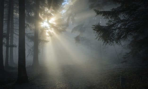 La mirada de Dios, luz en la oscuridad