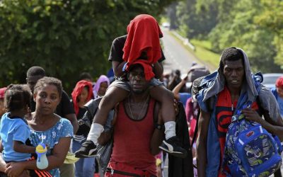 Urgente llamado al Gobierno de México