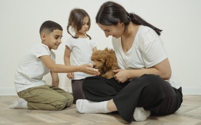 Distinguir para unir: Hay quien pudiendo tener hijos prefiere tener mascotas
