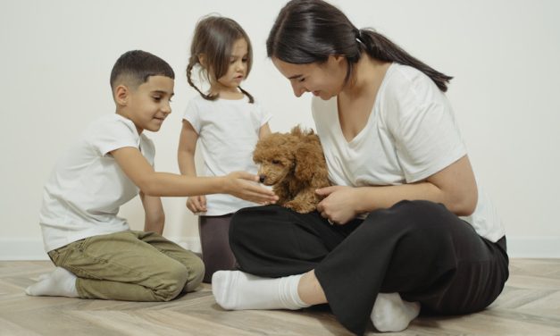 Distinguir para unir: Hay quien pudiendo tener hijos prefiere tener mascotas