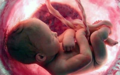 La Iglesia mexicana pide respeto pleno para las madres e hijos concebidos