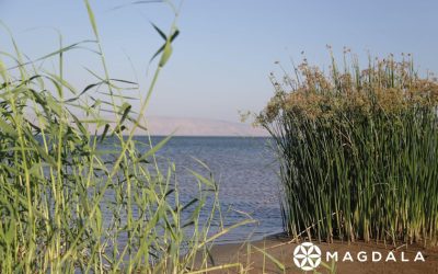 Cuarta Peregrinación Virtual de Magdala