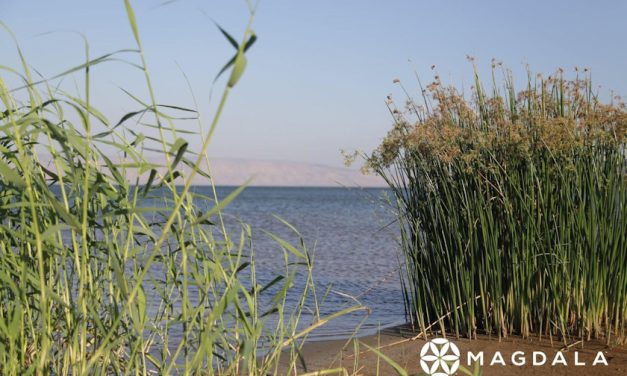 Cuarta Peregrinación Virtual de Magdala