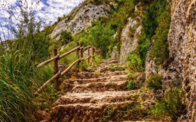 Volver a la realidad