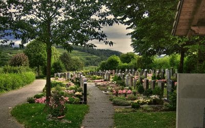 La Vida espera dormida