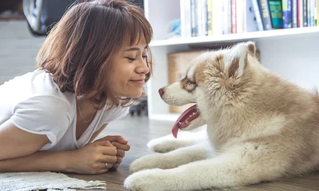 El alma y los animales