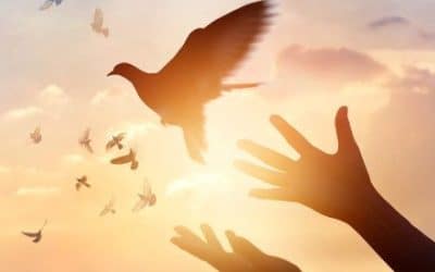 Todos podemos ser constructores de Paz