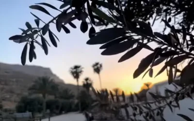 Atardeceres de Magdala se preparan para la solemnidad de Pentecostés
