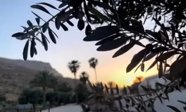 Atardeceres de Magdala se preparan para la solemnidad de Pentecostés
