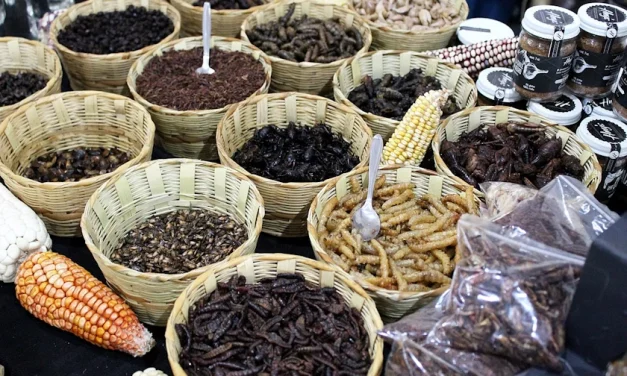 ¿Bichos en el plato? Pregúntenle a México
