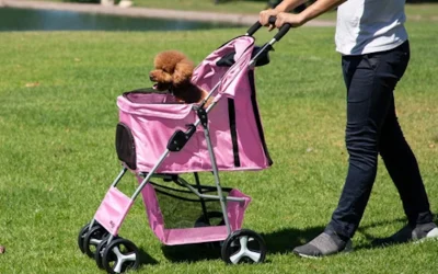 Hacia un mundo sin niños