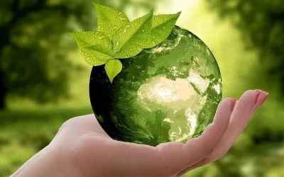 Los insectos y el futuro del planeta