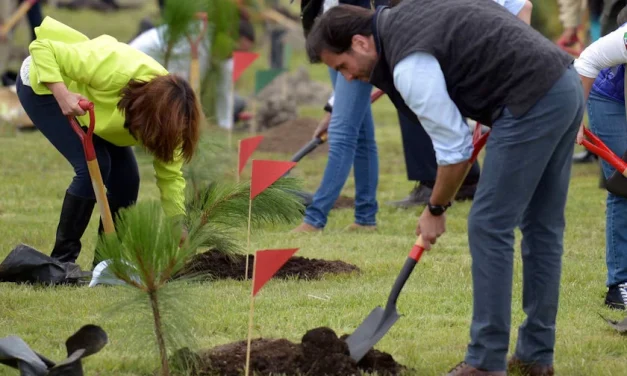 Día del árbol, por qué