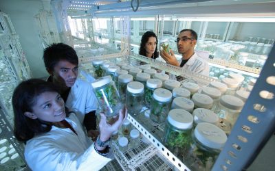 Reflexiones sobre la “comunidad científica”