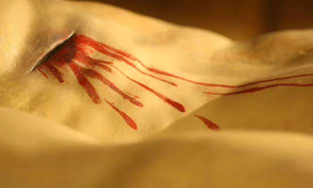¿De qué tipo es la Sangre del Señor?