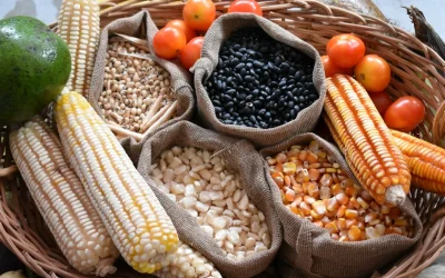 La dieta de la milpa