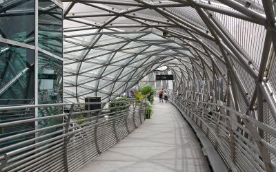 ¿Por qué los últimos serán los primeros?
