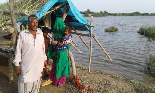 En marcha la ayuda de emergencia de ACN en Pakistán: paquetes de alimentos, subvenciones y refugio