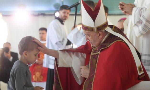 Francisco: Las serpientes de la desconfianza y la violencia amenazan la libertad y la paz