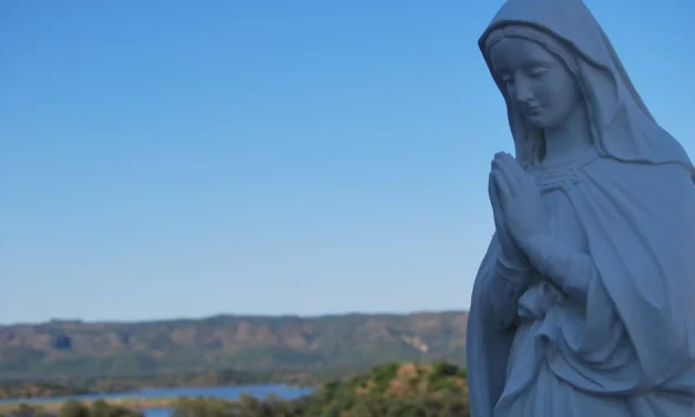 Hoy nace una clara estrella