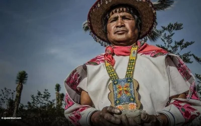 Los médicos y la medicina en Mesoamérica