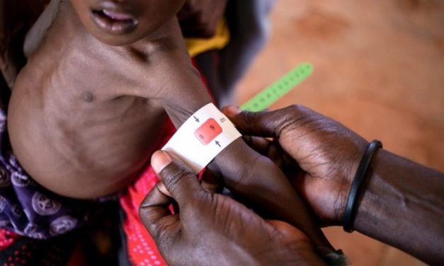 Somalia, Bertin: situación desesperada, especialmente para los niños