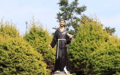 Ven Francisco a tus hermanos