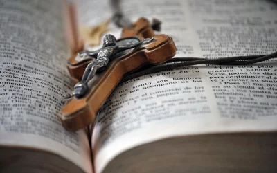 Una riqueza olvidada que hay que rescatar