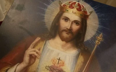 ¡Qué hermoso es el rey de la campaña!
