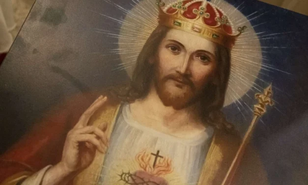 ¡Qué hermoso es el rey de la campaña!