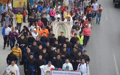 El sínodo paso a paso