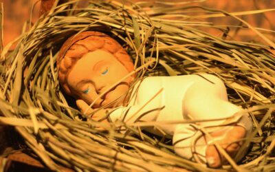 Espigando en la liturgia de navidad