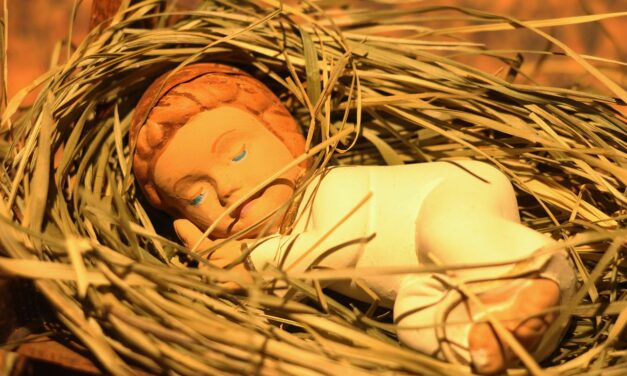 Espigando en la liturgia de navidad