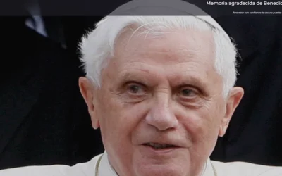 Memoria agradecida de Benedicto XVI: Rezando voy