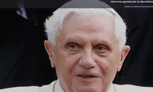 Memoria agradecida de Benedicto XVI: Rezando voy