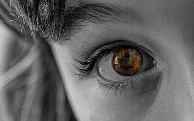 Juicios y valoraciones sobre hechos