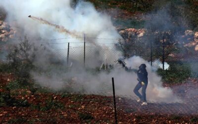 Dolor del Papa por violencia en Tierra Santa, Burkina Faso y Ucrania