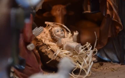 La conversión que nos vuelve hermanos