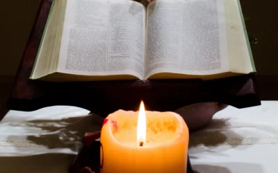 Te doy gracias, Señor, de todo Corazón: SALMO 8