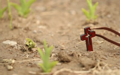 Cargar nuestra cruz cómo una oportunidad de crecimiento (podcast)