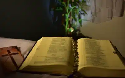 Al Señor me acojo: Salmo 11 (10)