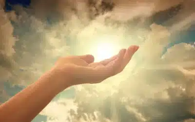 ¿De dónde surge la esperanza y la confianza?