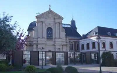 El gran descubrimiento