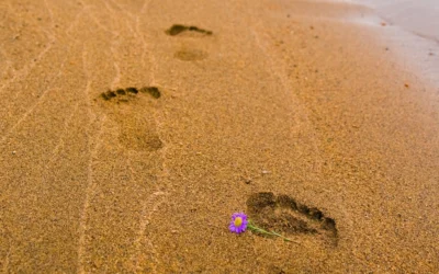 Huellas en la arena