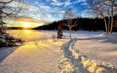 Pidan y se les dará